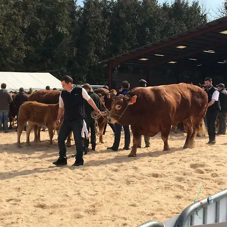 Maison Loubignac At Les Vergnes Gites Exideuil-sur-Vienne