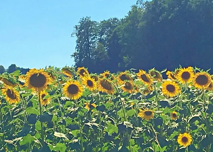 Maison Loubignac At Les Vergnes Gites *