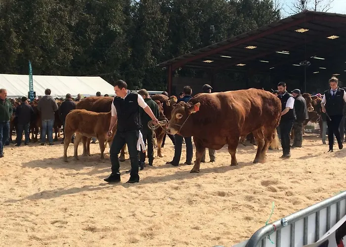 Maison Loubignac At Les Vergnes Gites Exideuil-sur-Vienne